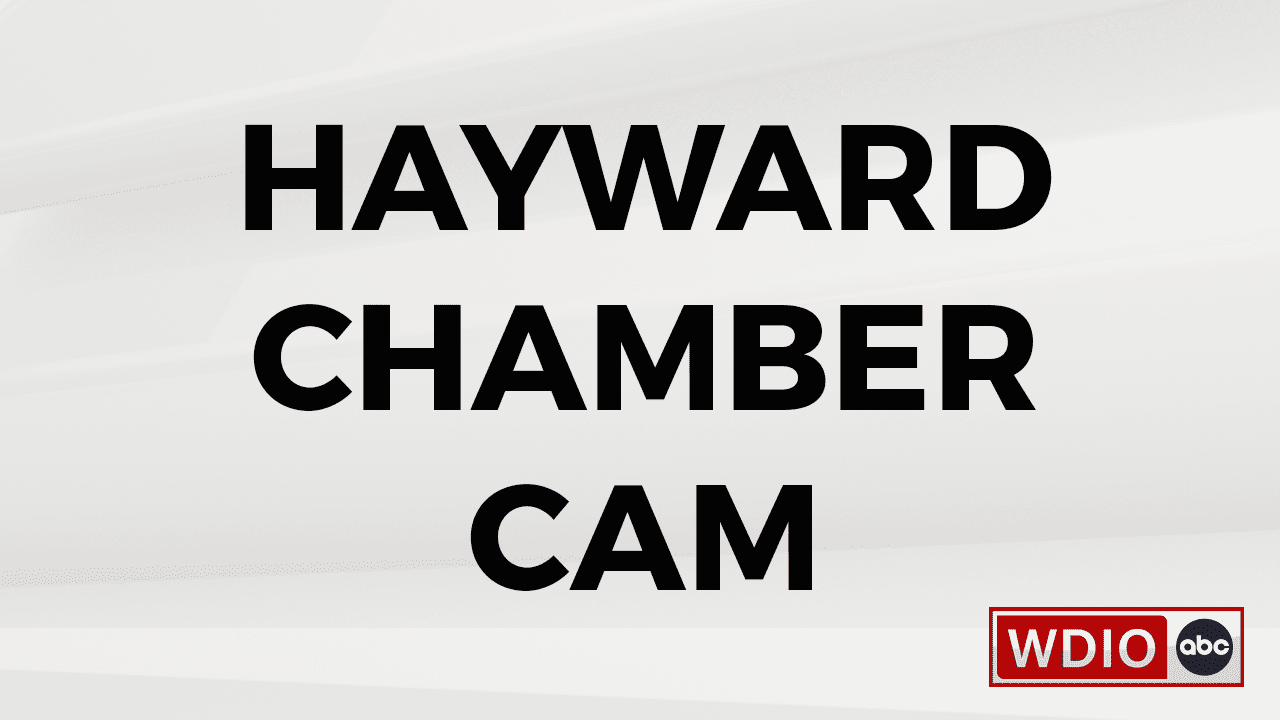 Hayward Chamber Cam WDIO