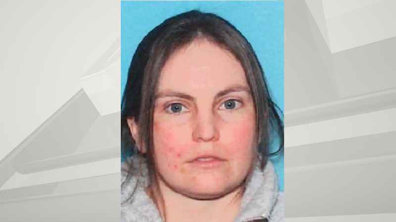 Two Harbors Police Seek Publics Help Locating Missing Woman 3955