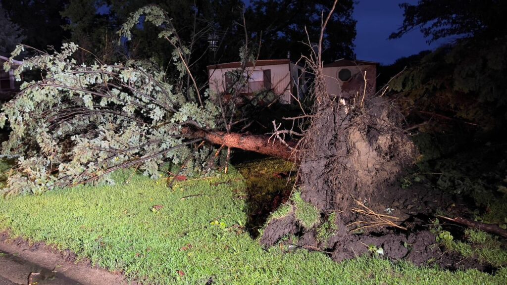 Strong storms knocked down trees and shut down Minnesota State Fair