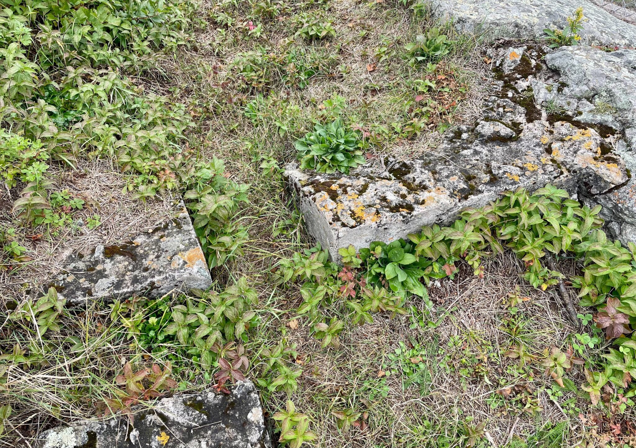 Exploring the past and future of Split Rock Lighthouse