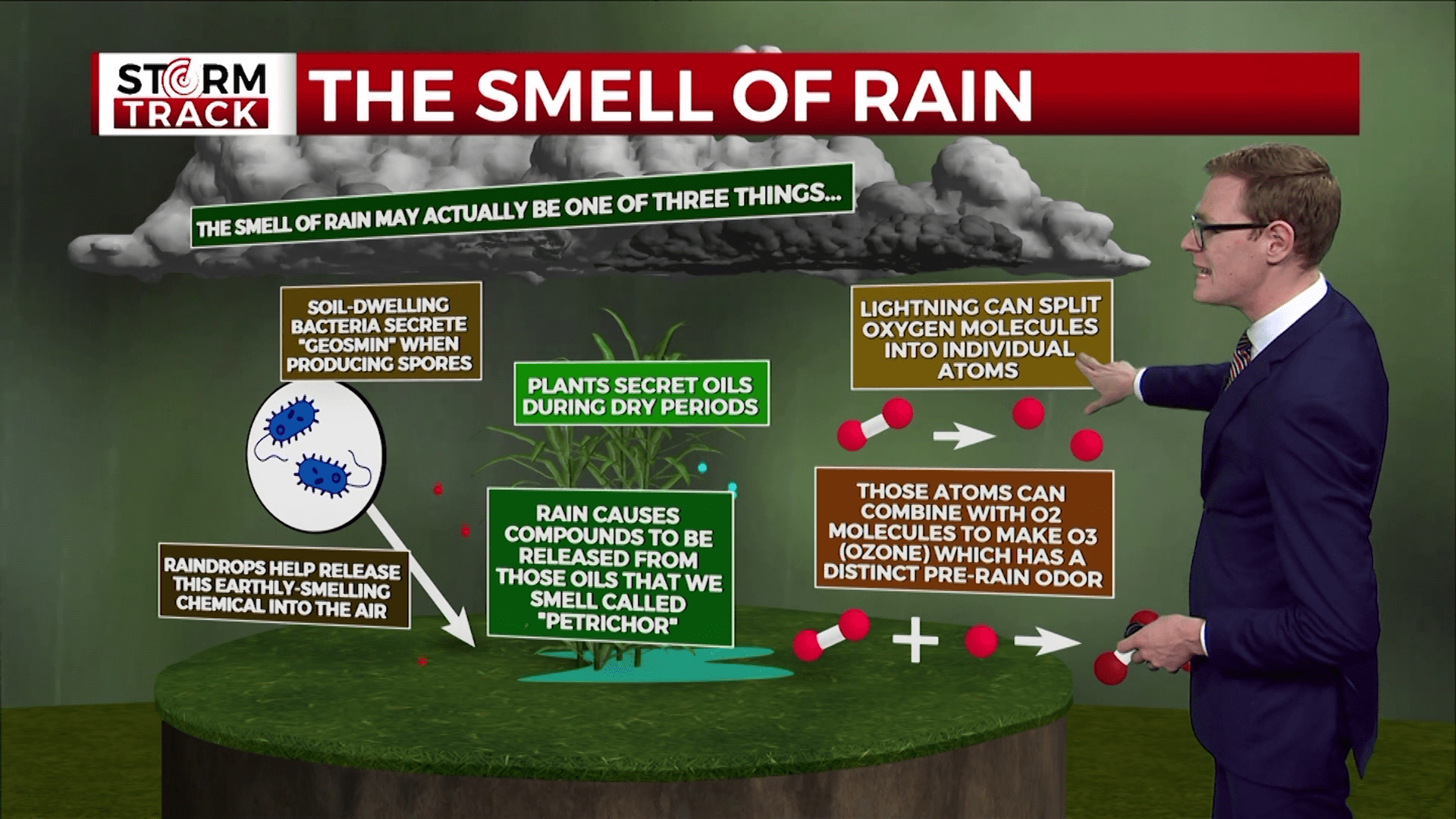 A graphic breaking down where the smell of rain comes from