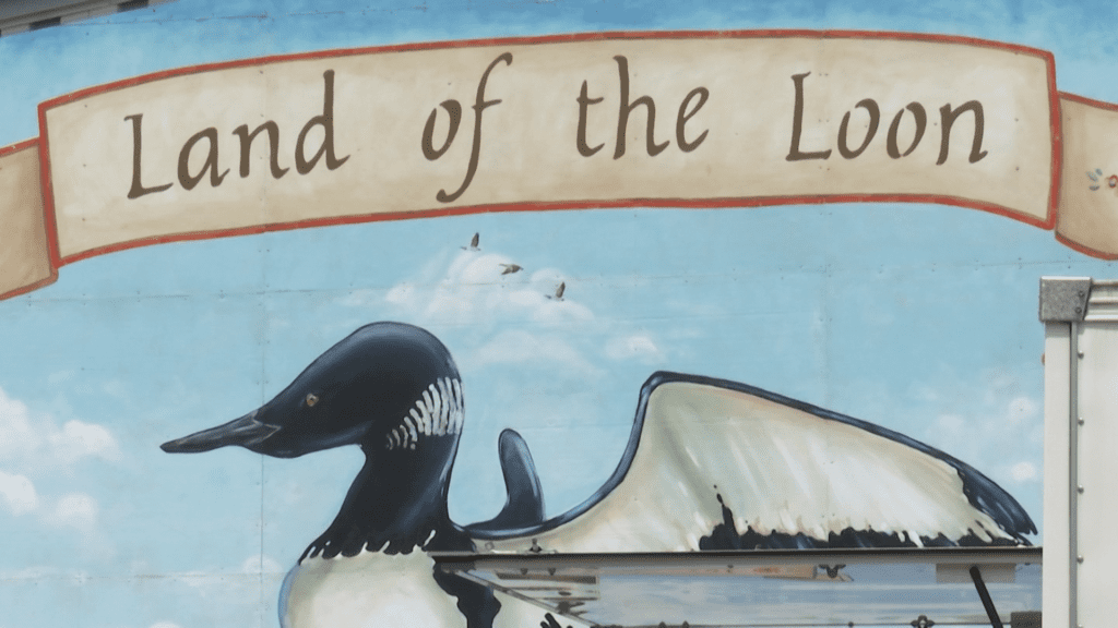 New vendors coming to Land of the Loon this weekend in Virginia