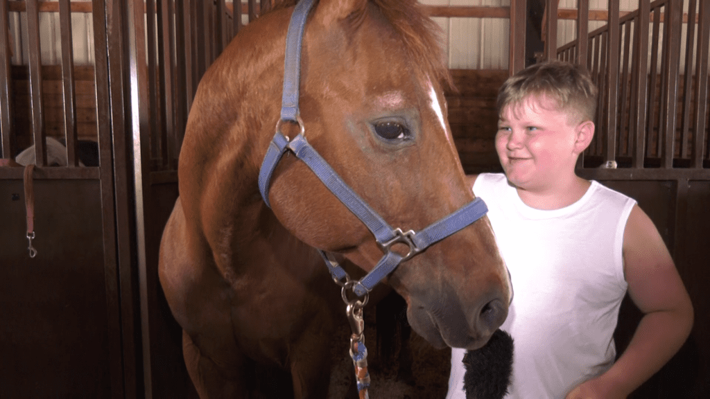 South St Louis County Fair 2024 Eda