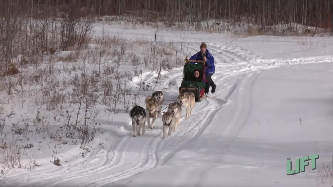 Points unknown shops dog sledding