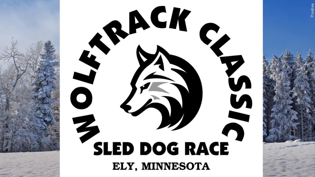 WolfTrack Classic sled dog race called off - WDIO.com