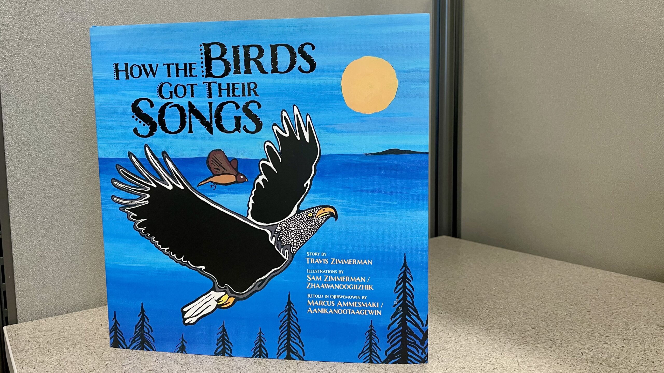 The cover of 'How the Birds Got Their Songs'