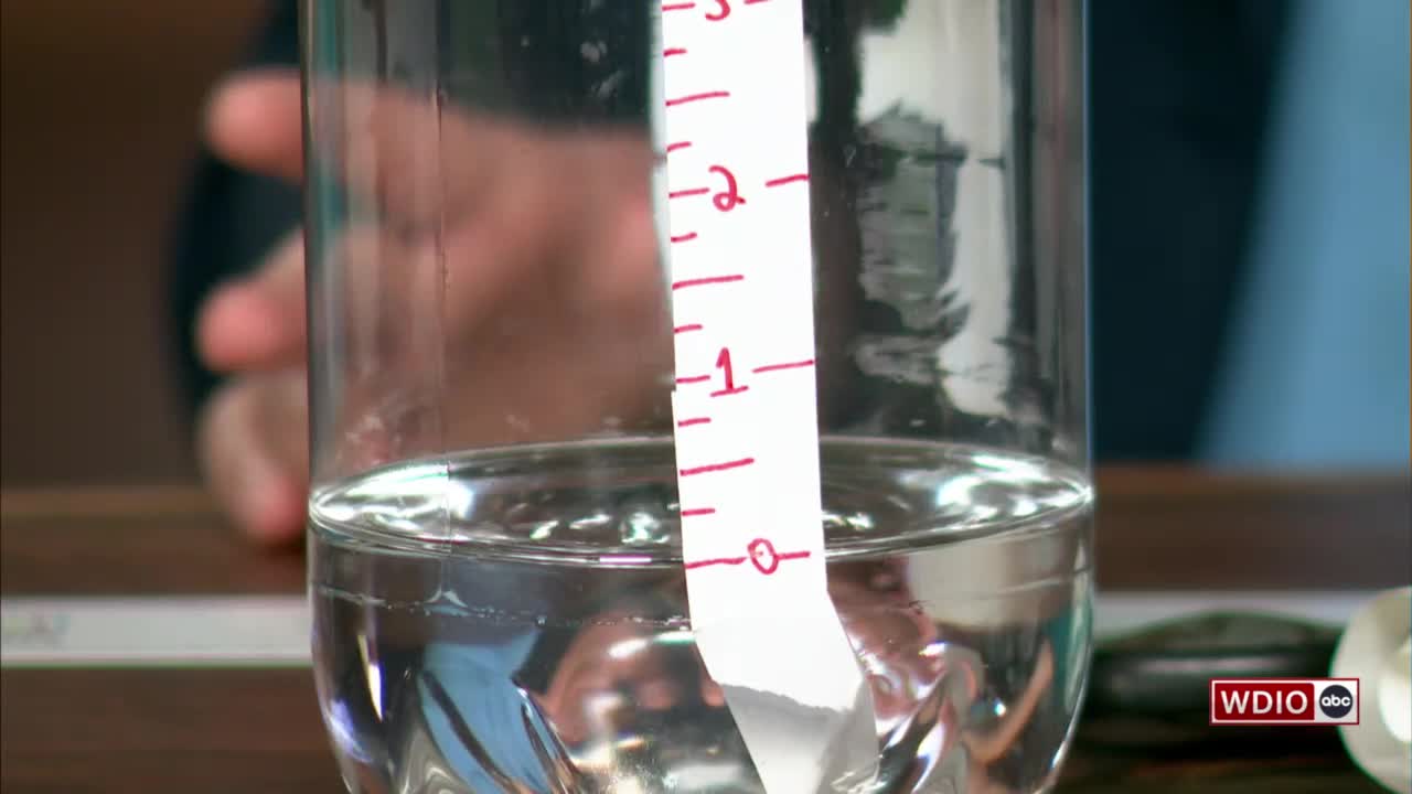 A rain gauge made from a 2-liter pop bottle