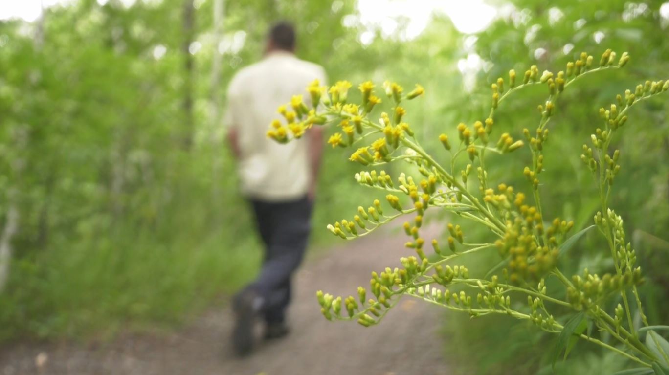 The trail to Kingsbury Creek