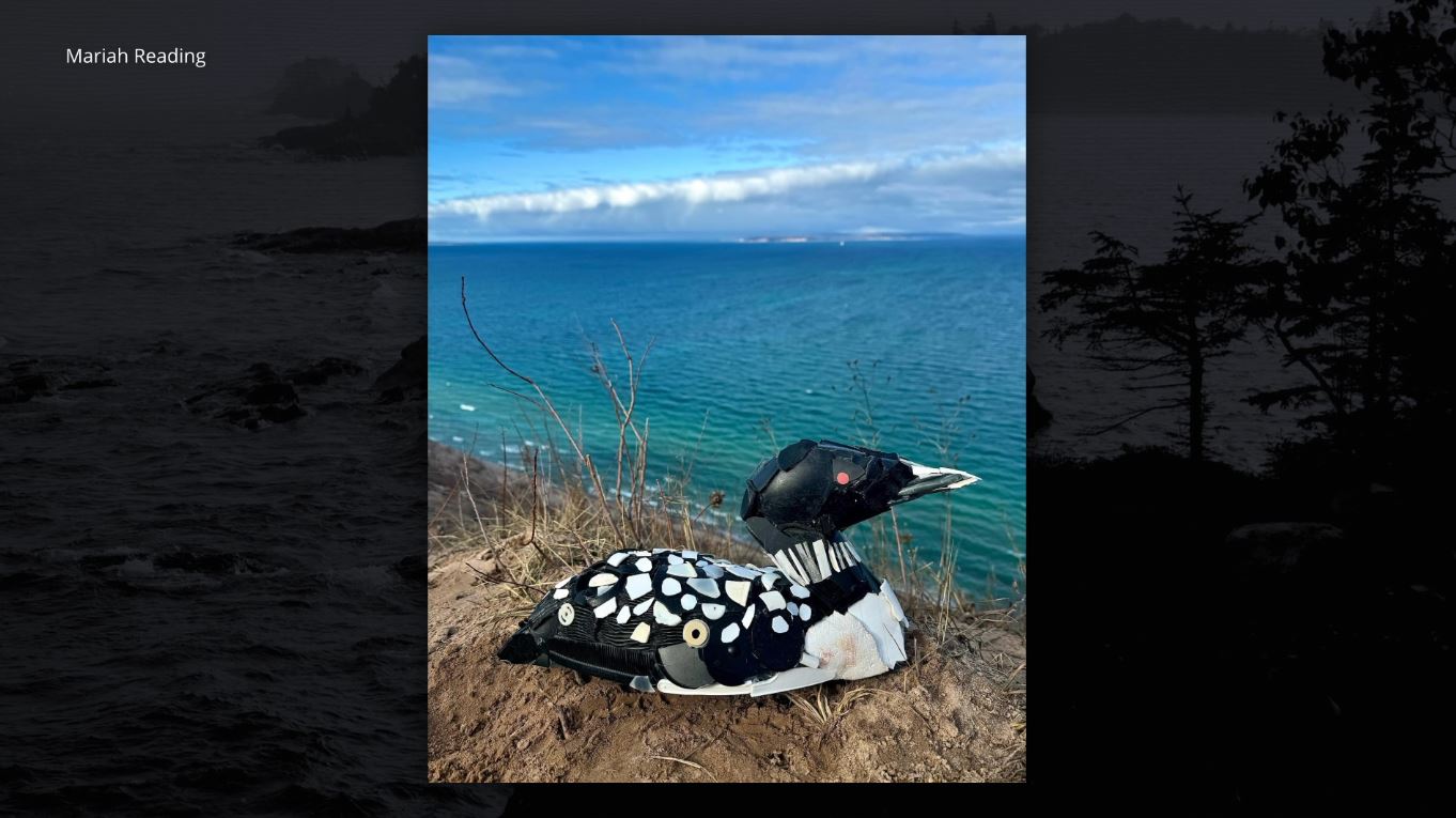 Marine debris on Isle Royale becomes works of art