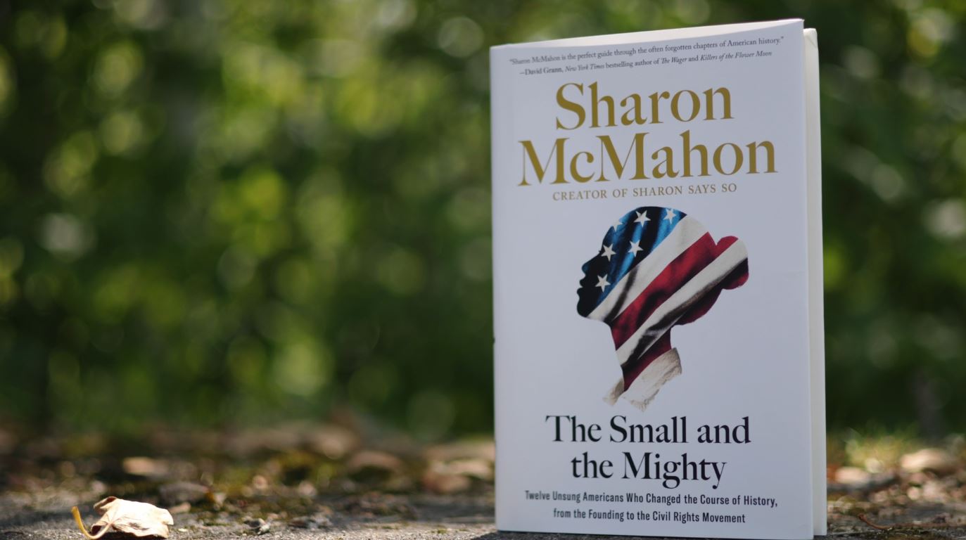 The cover of "The Small and the Mighty"