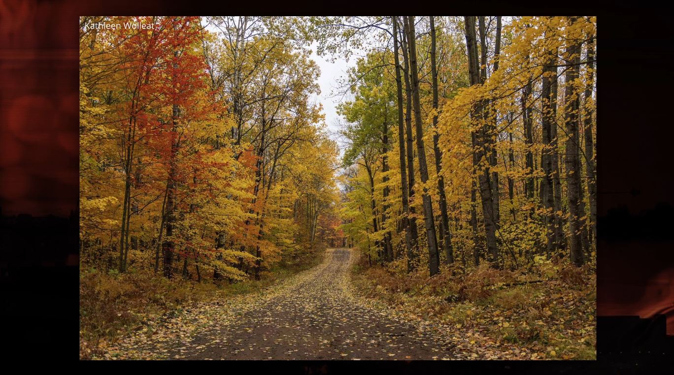 A colorful fall trail