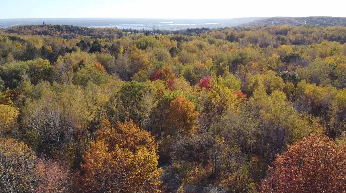 A bird's-eye view of fall colors in Duluth