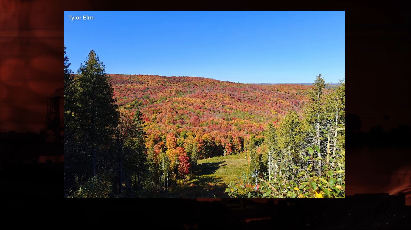 Fall colors from Lutsen Mountains