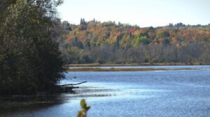 Trees with brightly-colored leaves across a body of water