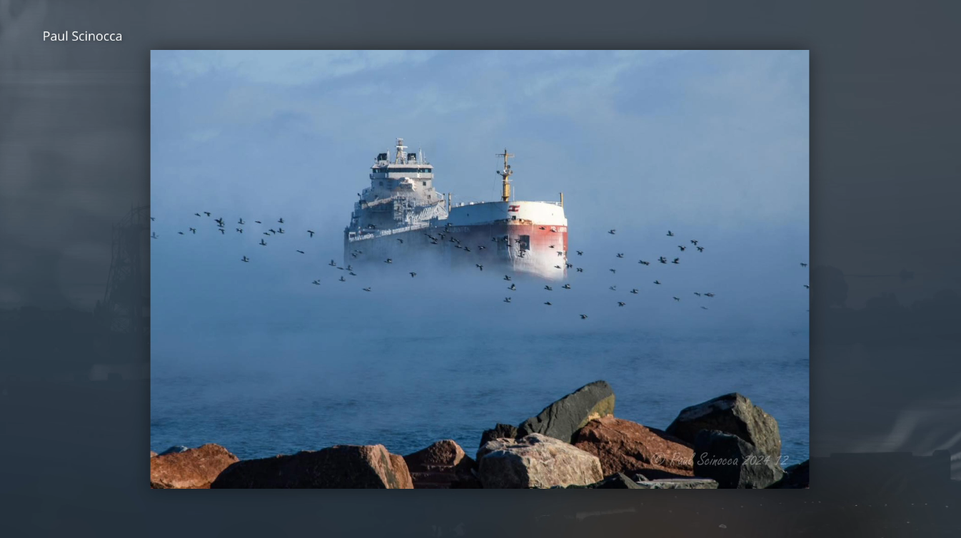 The CSL Laurentian arrives surrounded by ducks